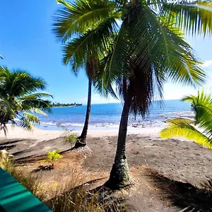 https://tahiti-matavai-bay-spirit.frenchpolynesia-hotels.com